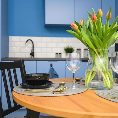 דירות Apartament Blue Brzezno Prostywynajem Gdansk Brzezno מראה חיצוני תמונה